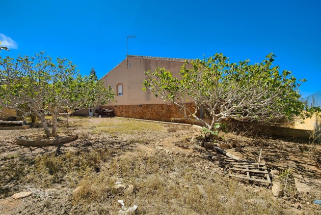 Segunda mano - Chalet -
Torrevieja - Costa Blanca