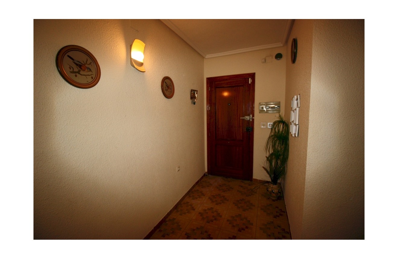 Tweedehands - Appartement / flat -
Guardamar del Segura - Costa Blanca