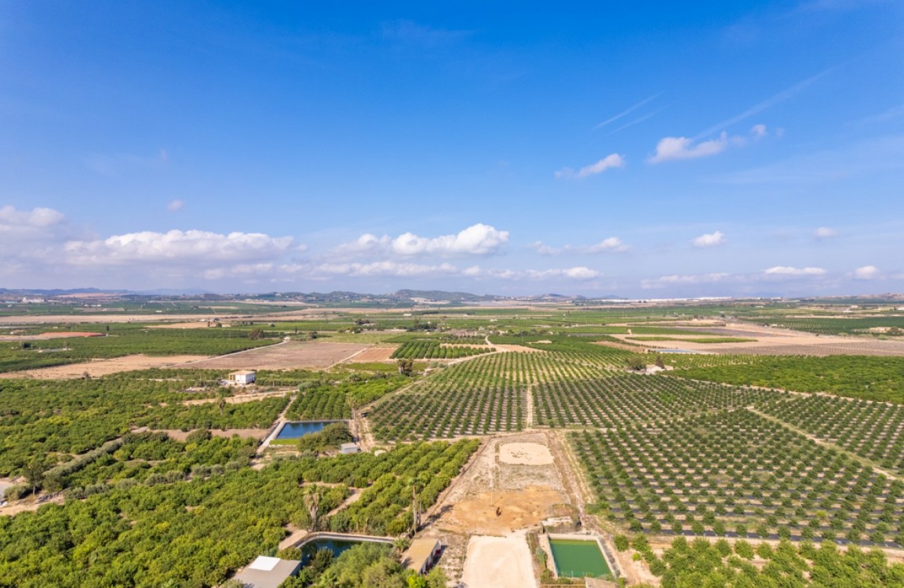 Z drugiej ręki - Szalet -
Los Montesinos - Costa Blanca