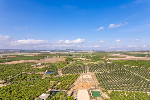 Z drugiej ręki - Szalet -
Los Montesinos - Costa Blanca