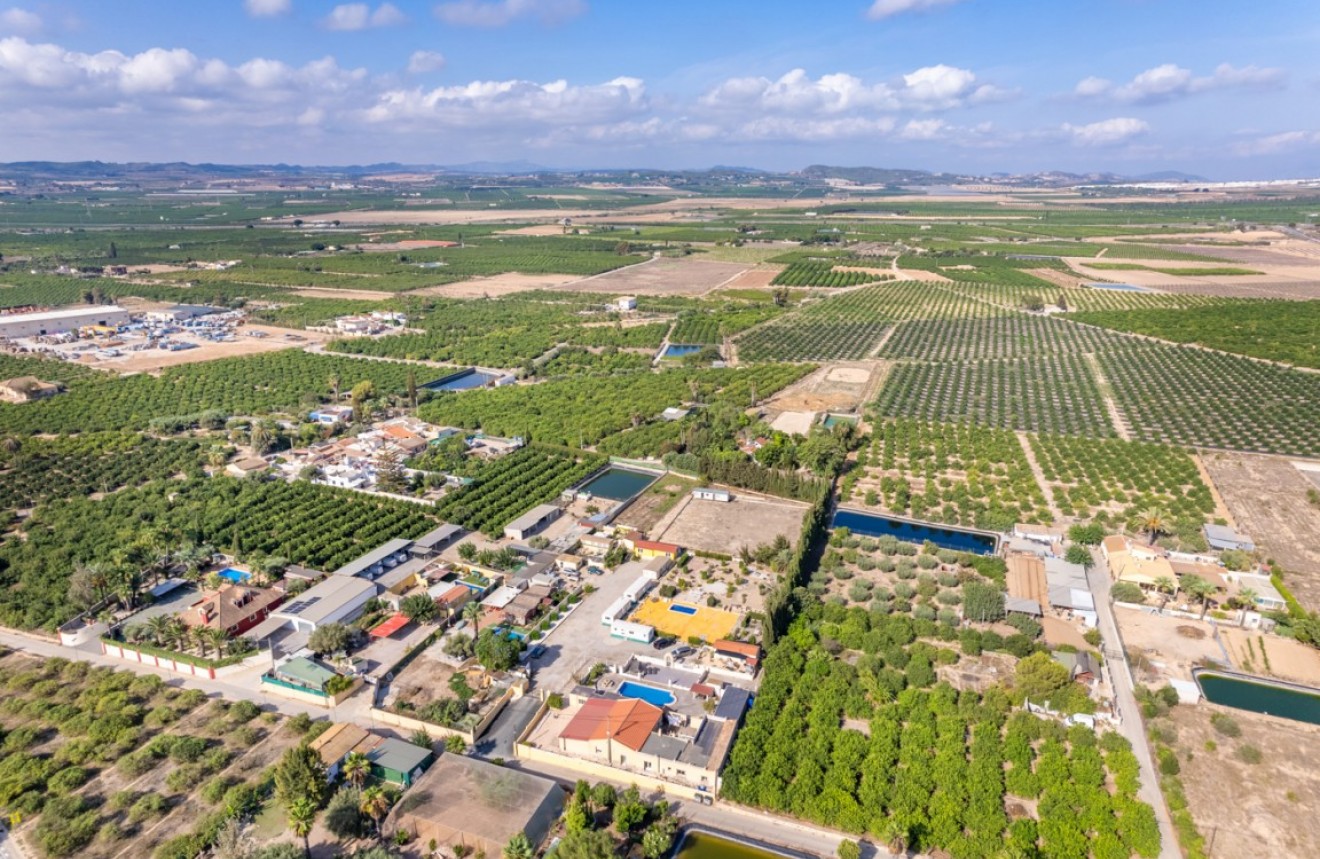 Z drugiej ręki - Szalet -
Los Montesinos - Costa Blanca