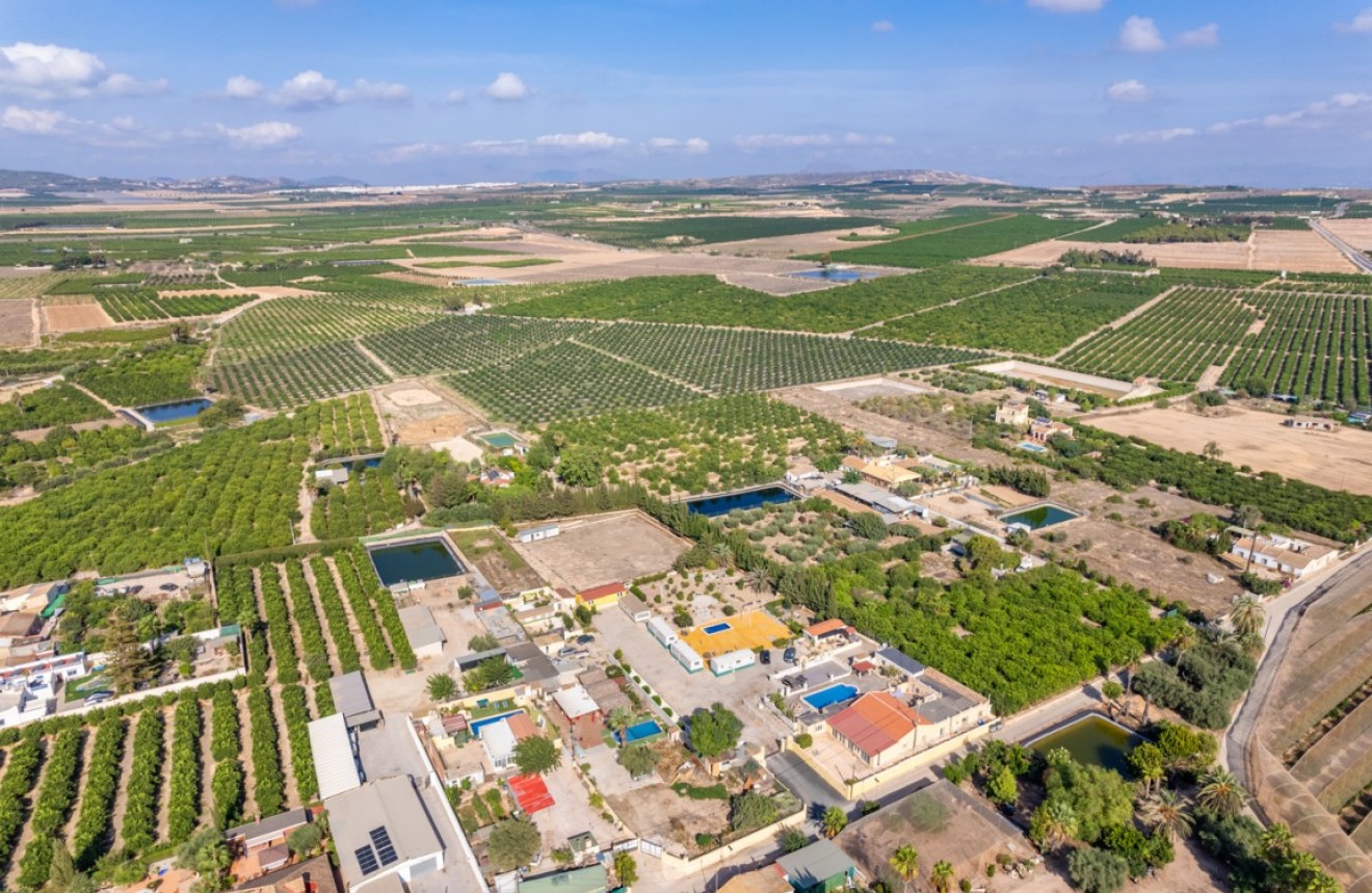 Z drugiej ręki - Szalet -
Los Montesinos - Costa Blanca