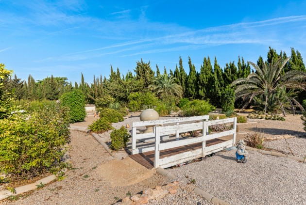 Z drugiej ręki - Szalet -
Los Montesinos - Costa Blanca