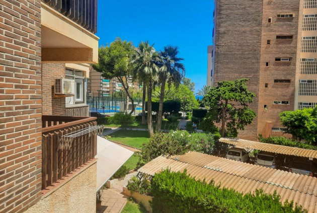 Segunda mano - Apartamento / piso -
Orihuela Costa - Costa Blanca