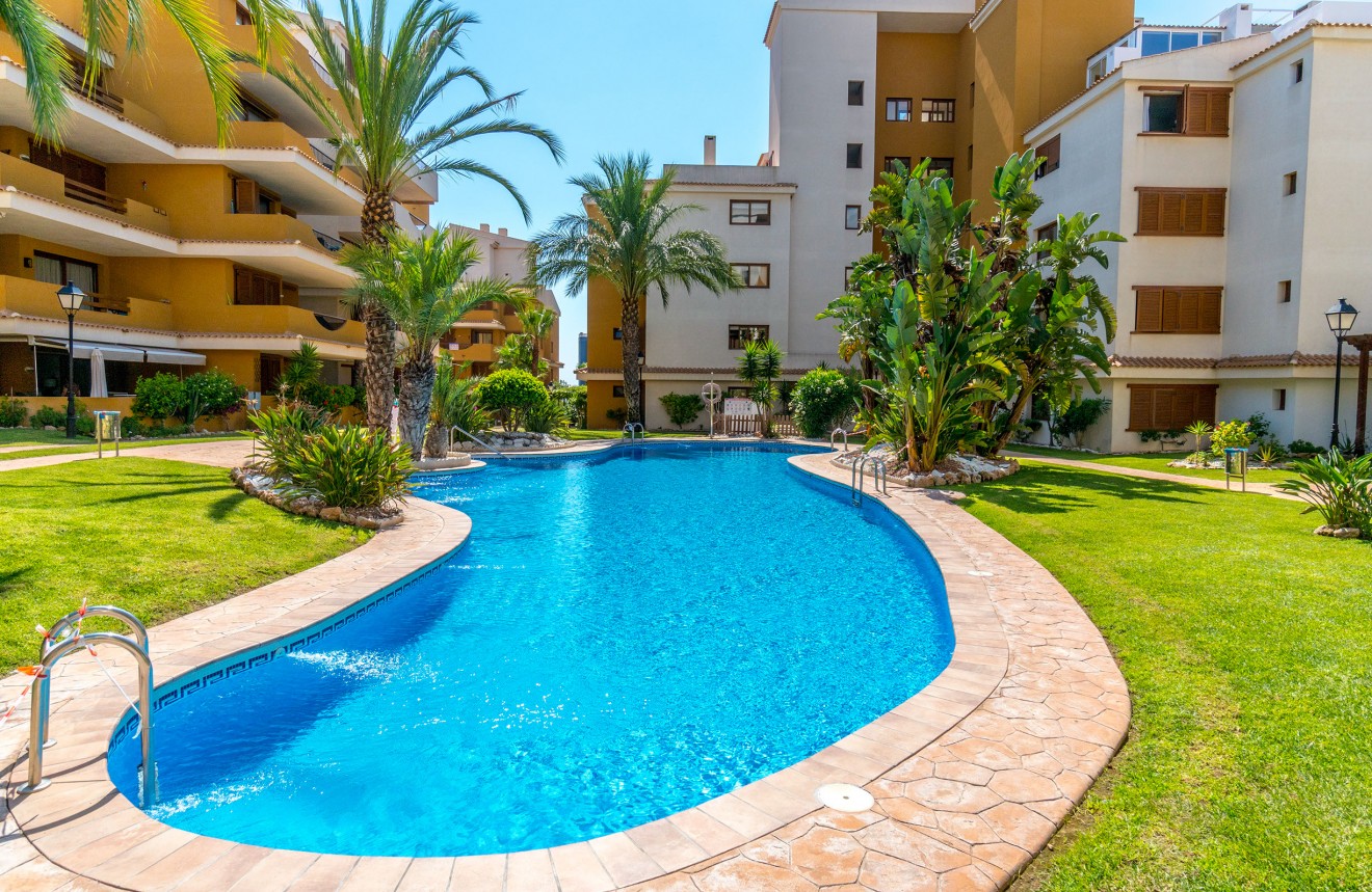 Aus zweiter Hand - Wohnung -
Punta Prima - Costa Blanca