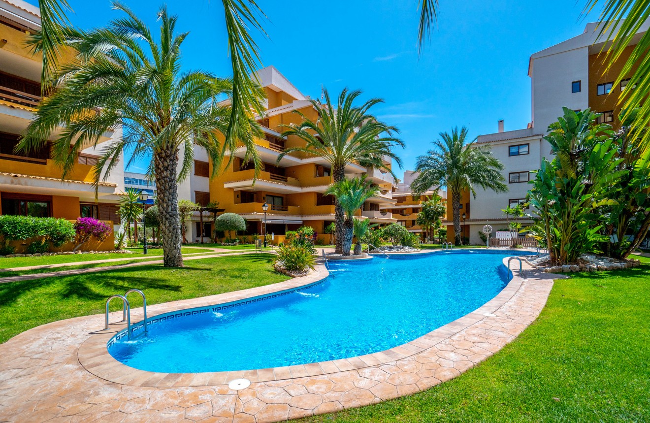 Aus zweiter Hand - Wohnung -
Punta Prima - Costa Blanca