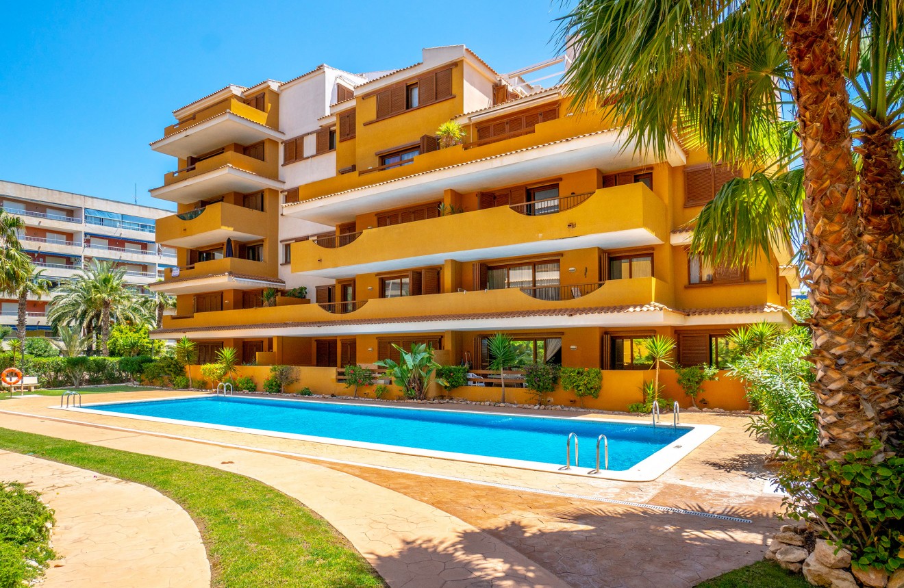 Aus zweiter Hand - Wohnung -
Punta Prima - Costa Blanca