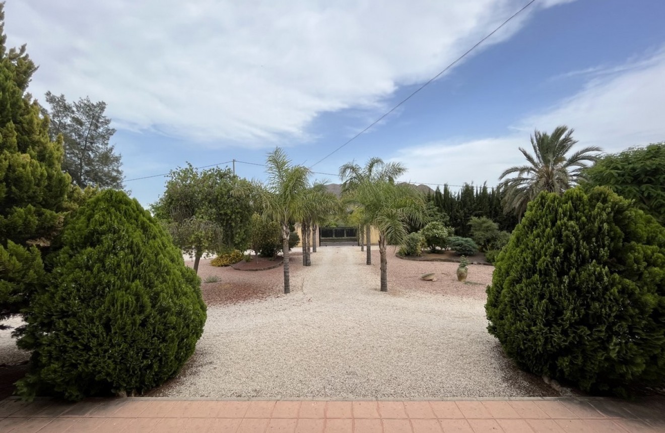 Resale - Chalet -
Callosa de Segura - Callosilla