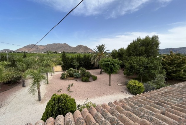 Resale - Chalet -
Callosa de Segura - Callosilla