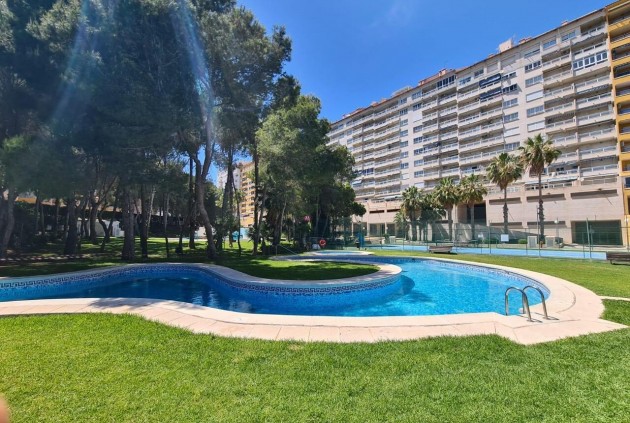 Segunda mano - Apartamento / piso -
Orihuela Costa - Costa Blanca