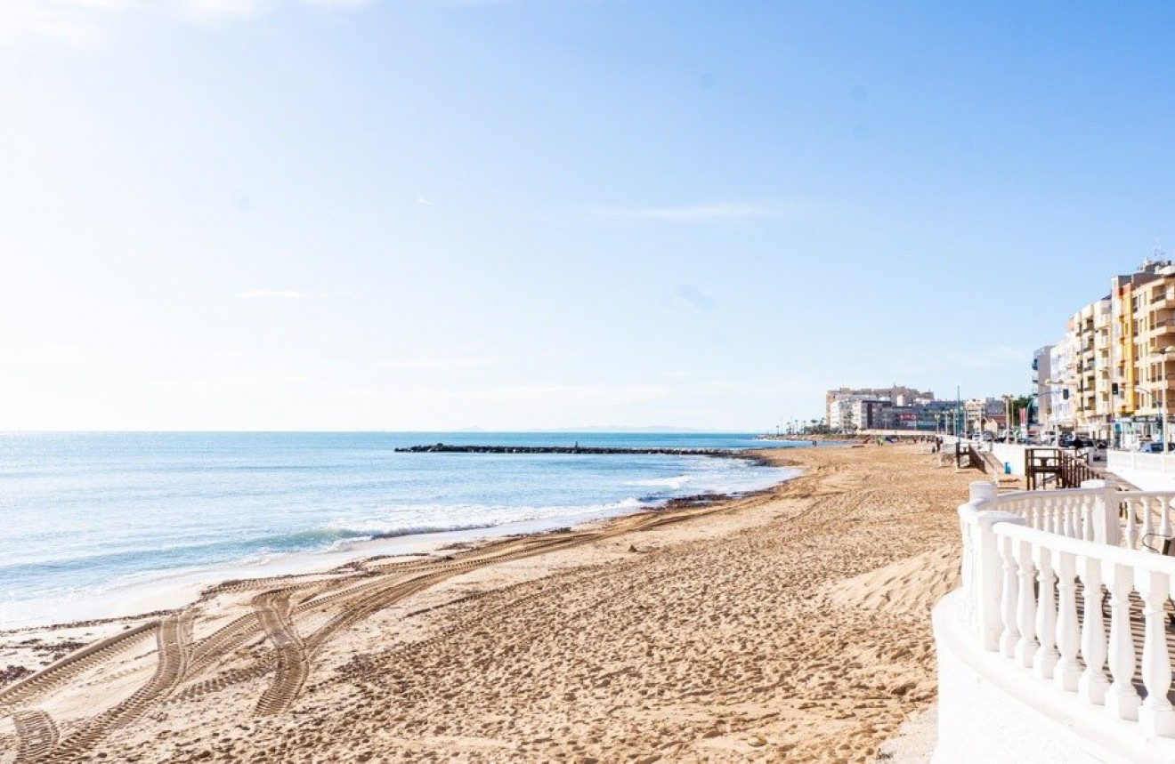 Nowy budynek - Szalet -
Torrevieja - Lago Jardin