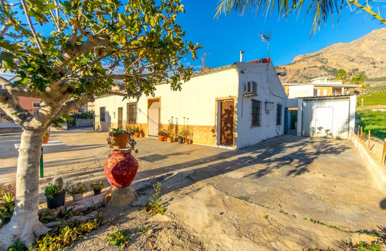 Z drugiej ręki - Casa de campo -
Alicante - Raiguero de Bonanza