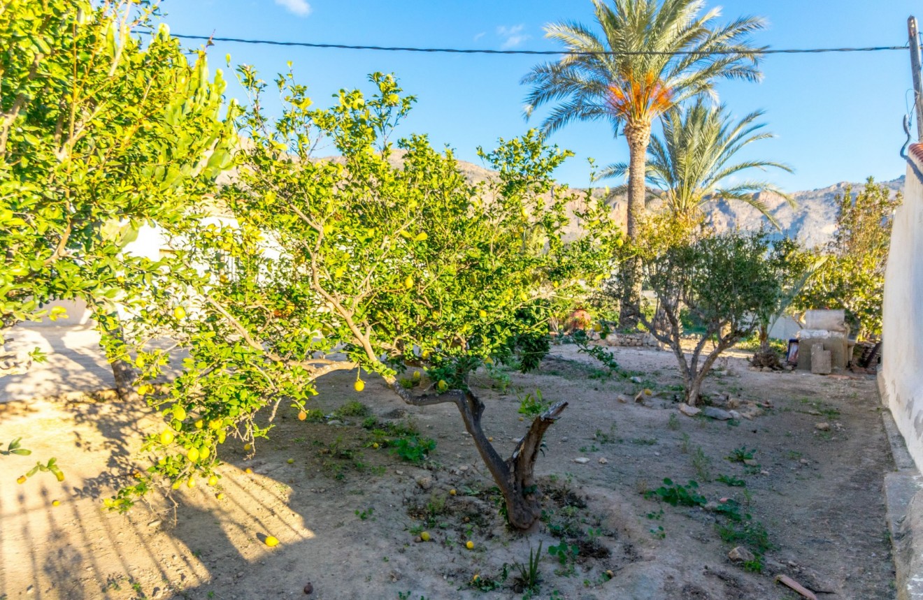 Z drugiej ręki - Casa de campo -
Alicante - Raiguero de Bonanza