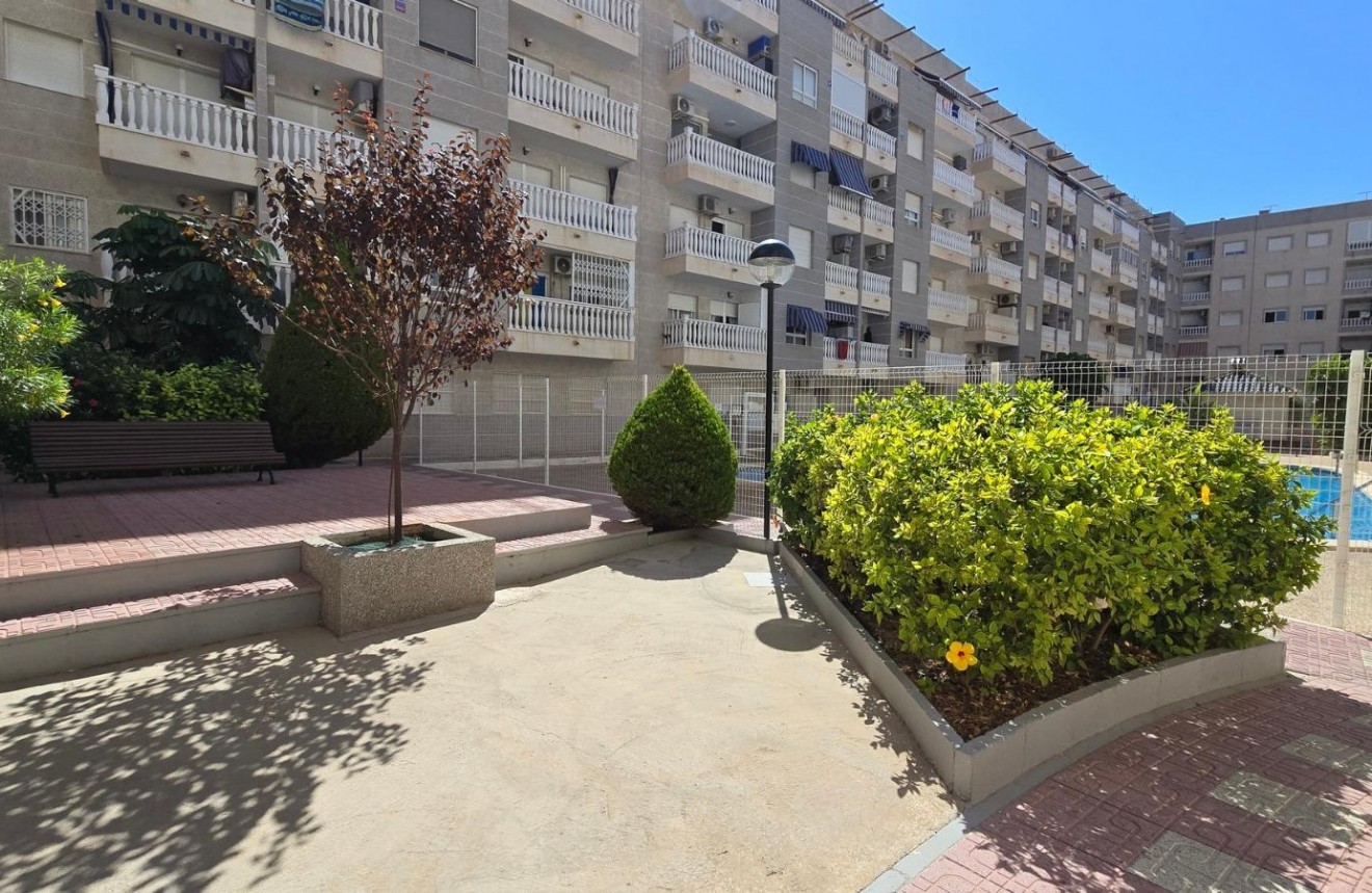 Aus zweiter Hand - Wohnung -
Torrevieja - Centro