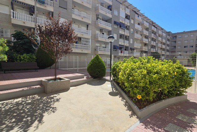 Aus zweiter Hand - Wohnung -
Torrevieja - Centro