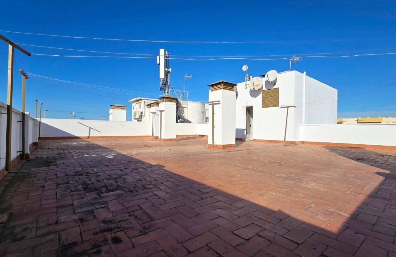 Segunda mano - Apartamento / piso -
Torrevieja - Centro