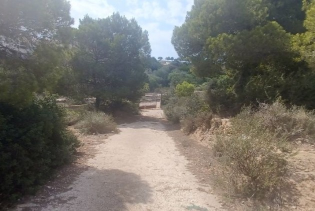 Z drugiej ręki - Szalet -
Orihuela Costa - Costa Blanca