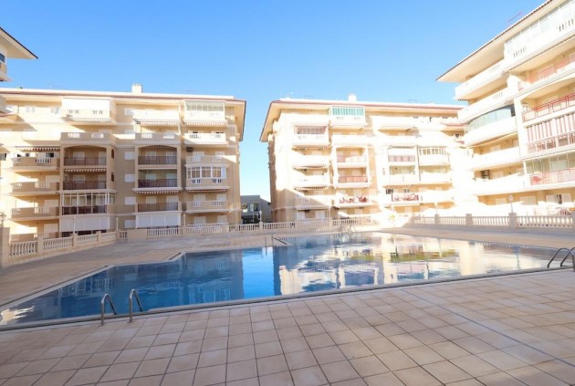 Segunda mano - Apartamento / piso -
Torrevieja - Costa Blanca