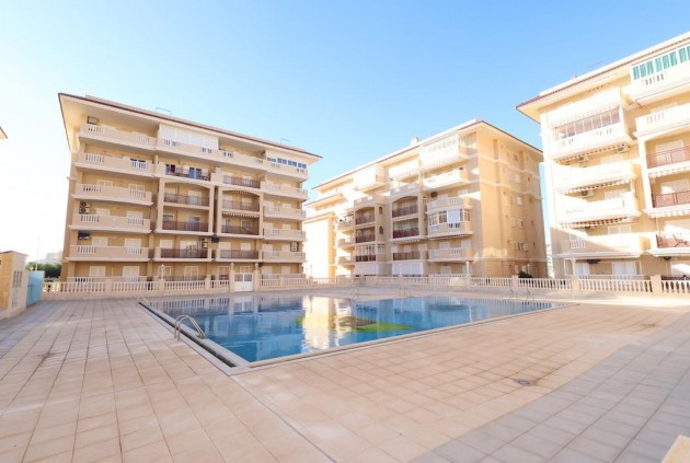 Segunda mano - Apartamento / piso -
Torrevieja - Costa Blanca