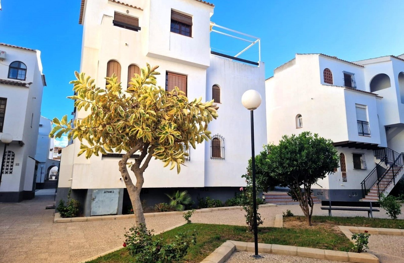 Aus zweiter Hand - Wohnung -
Torrevieja - La veleta