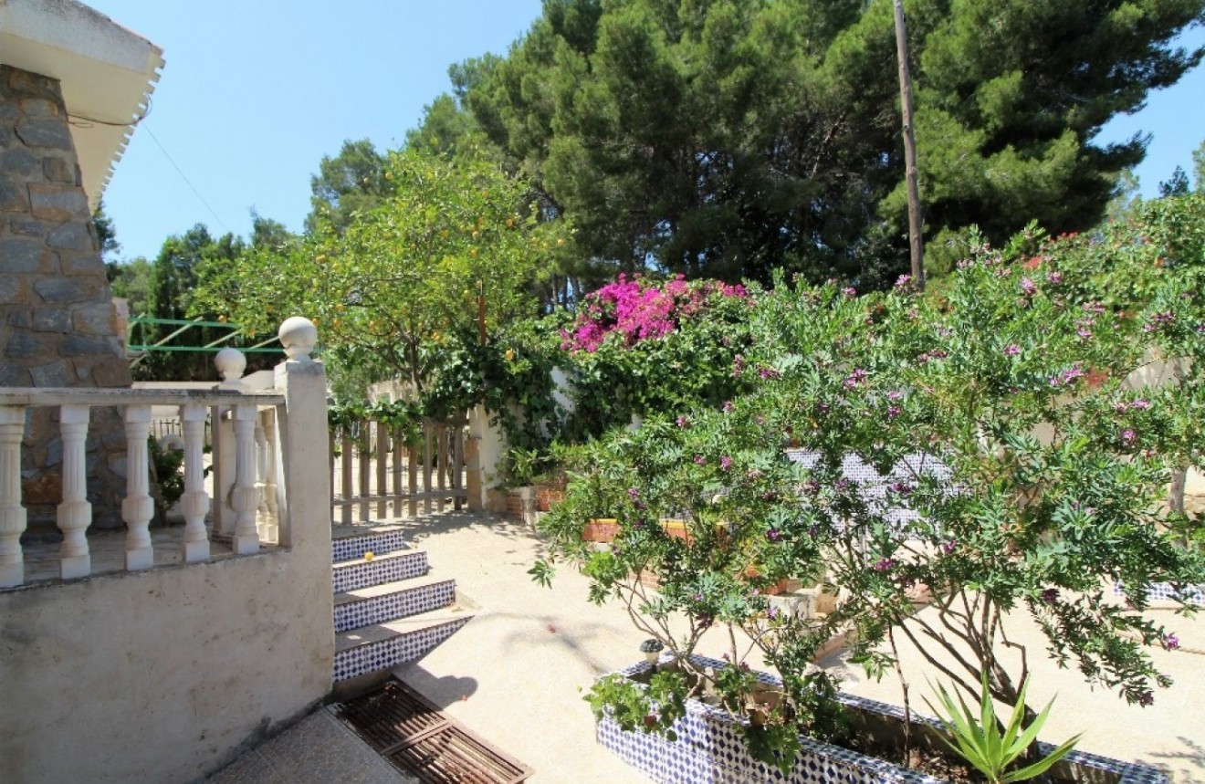 Segunda mano - Chalet -
Torrevieja - Los Balcones