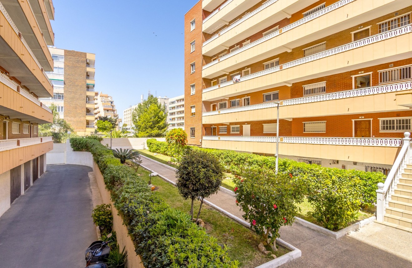 Segunda mano - Apartamento / piso -
Punta Prima - Costa Blanca