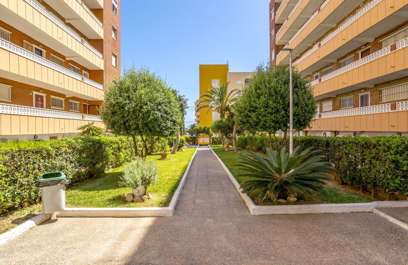 Segunda mano - Apartamento / piso -
Punta Prima - Costa Blanca