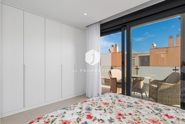 Obra nueva - Chalet -
Guardamar del Segura - Els Secans