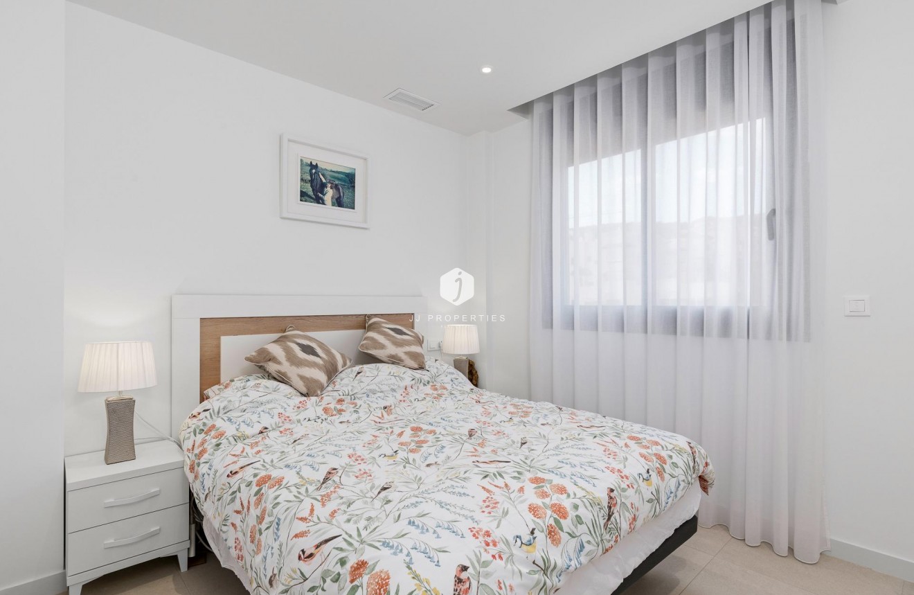 Obra nueva - Chalet -
Guardamar del Segura - Els Secans