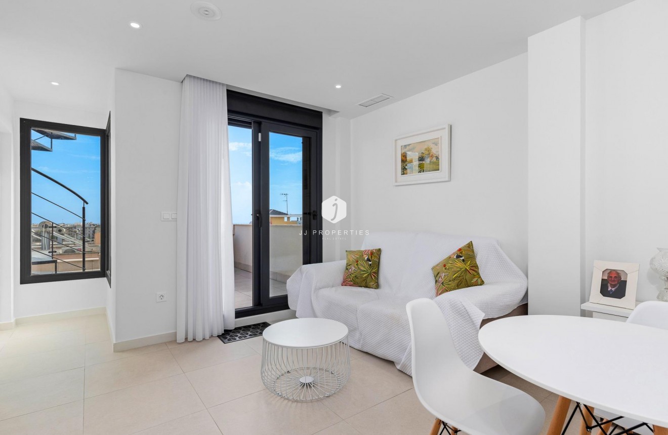 Obra nueva - Chalet -
Guardamar del Segura - Els Secans