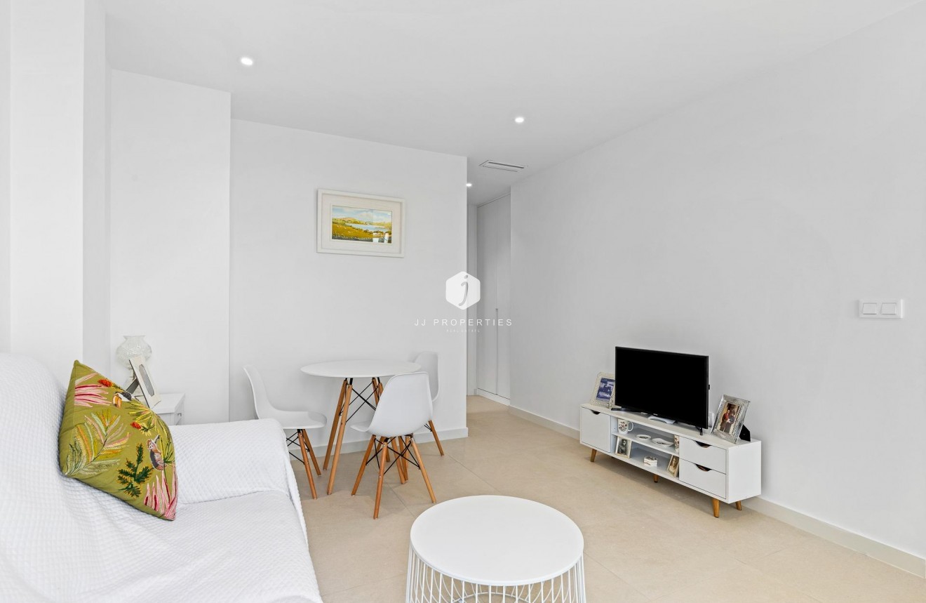 Obra nueva - Chalet -
Guardamar del Segura - Els Secans