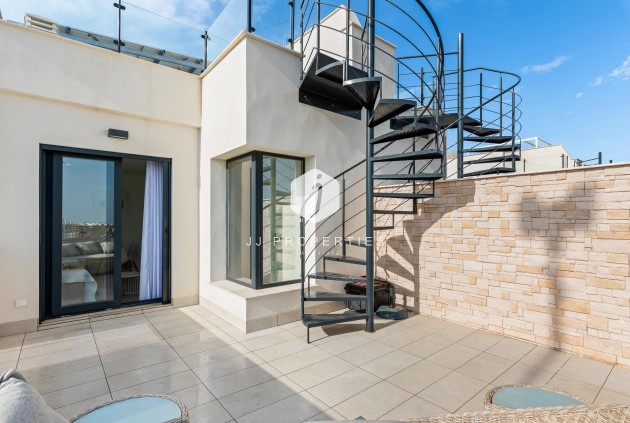 Obra nueva - Chalet -
Guardamar del Segura - Els Secans