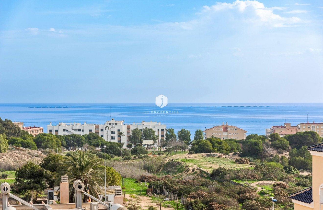 Obra nueva - Chalet -
Guardamar del Segura - Els Secans