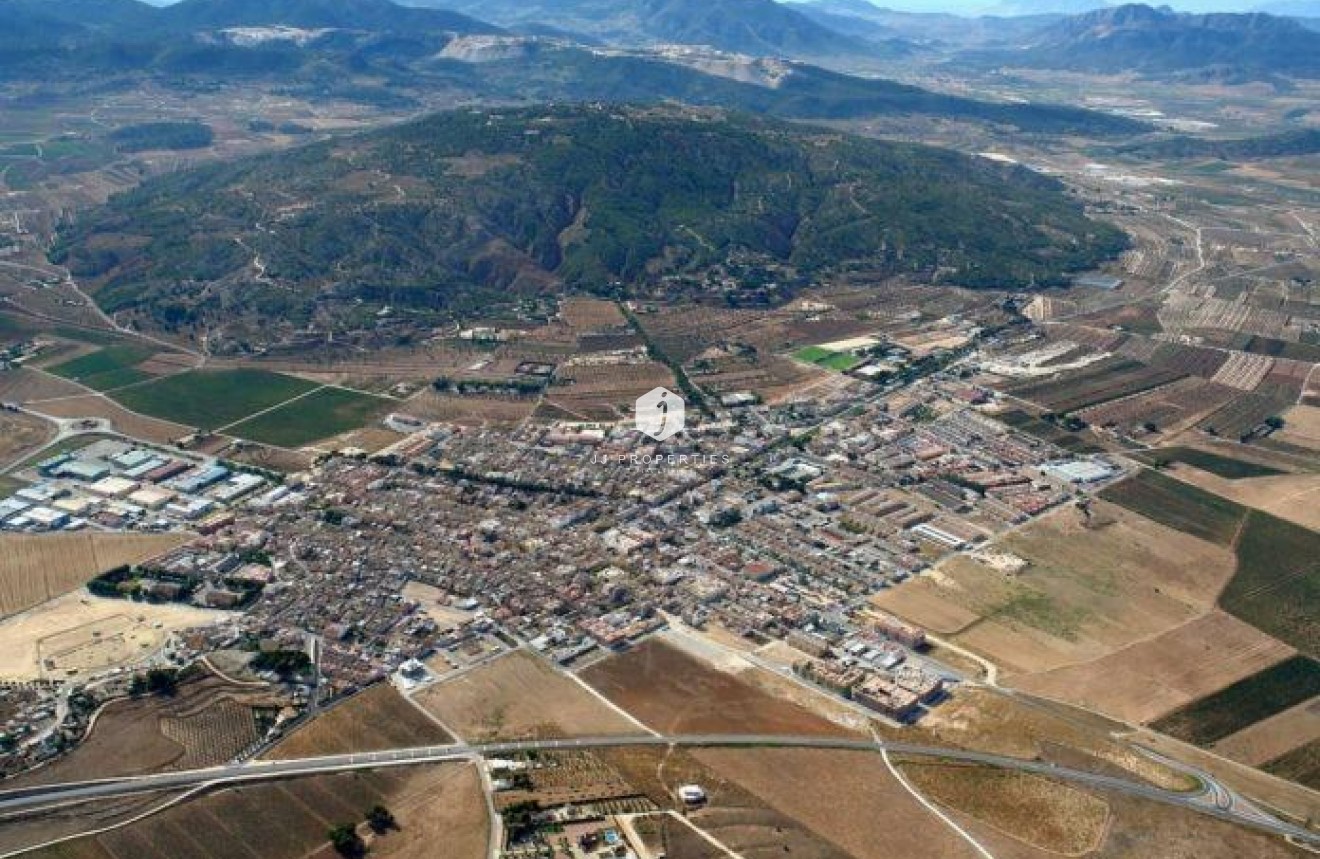 Obra nueva - Villa -
Pinoso - Lel