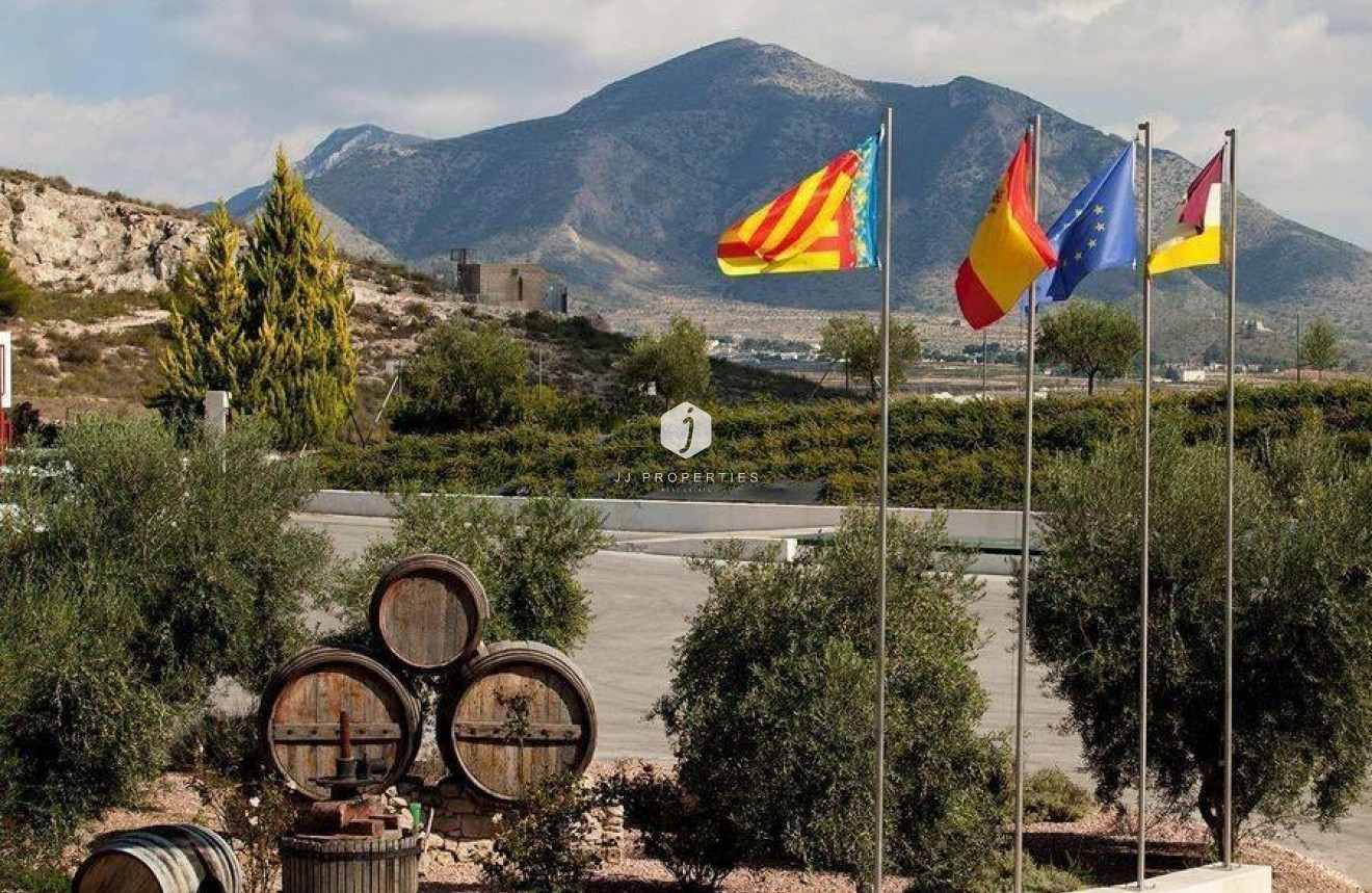 Obra nueva - Villa -
Pinoso - Lel