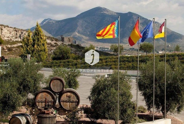 Obra nueva - Villa -
Pinoso - Lel