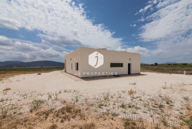 Obra nueva - Villa -
Pinoso - Lel