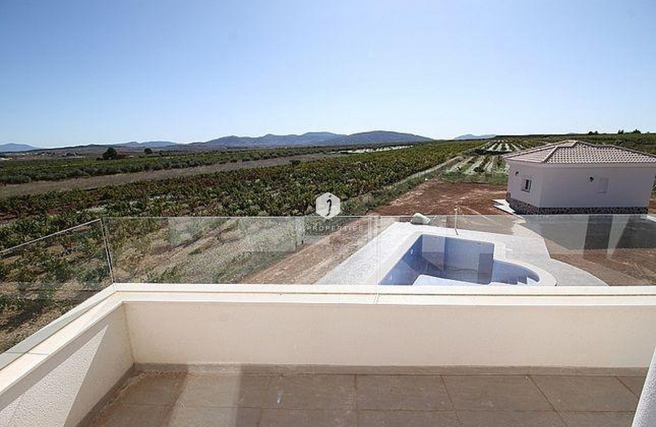 Obra nueva - Villa -
Pinoso - Camino Del Prado