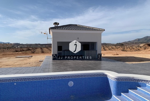 Obra nueva - Villa -
Pinoso - Camino Del Prado