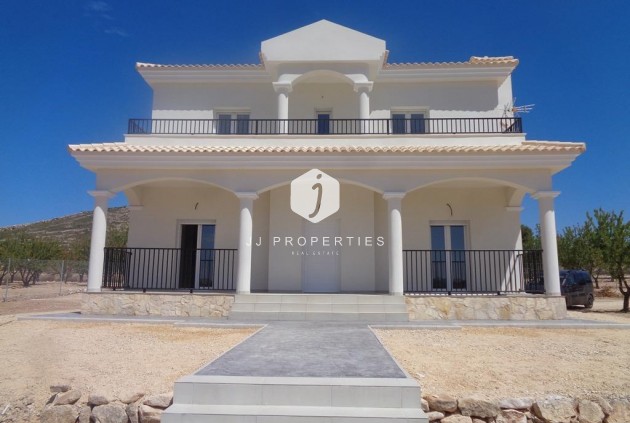 Obra nueva - Villa -
Pinoso - Camino Del Prado