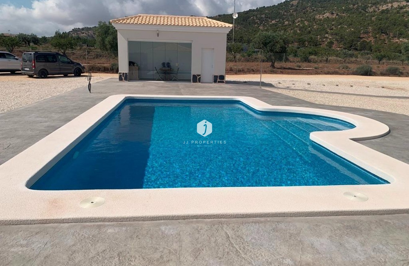 Obra nueva - Villa -
Pinoso - Camino Del Prado