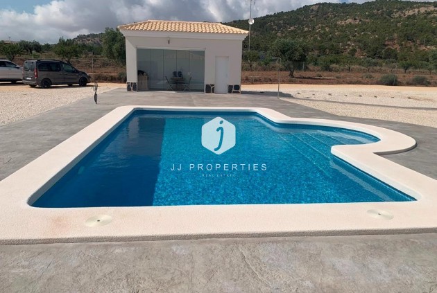 Obra nueva - Villa -
Pinoso - Camino Del Prado