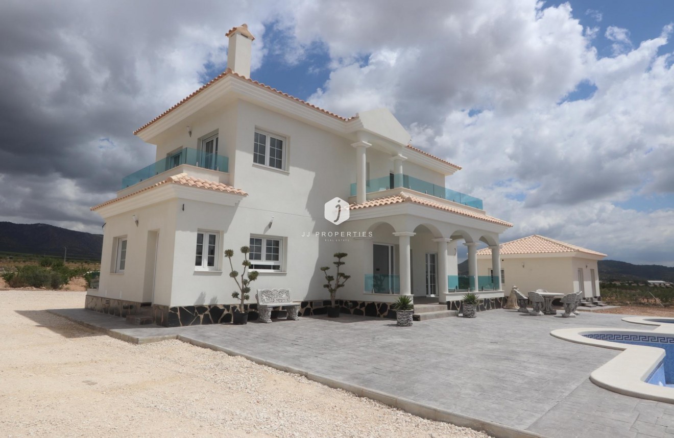 Obra nueva - Villa -
Pinoso - Camino Del Prado