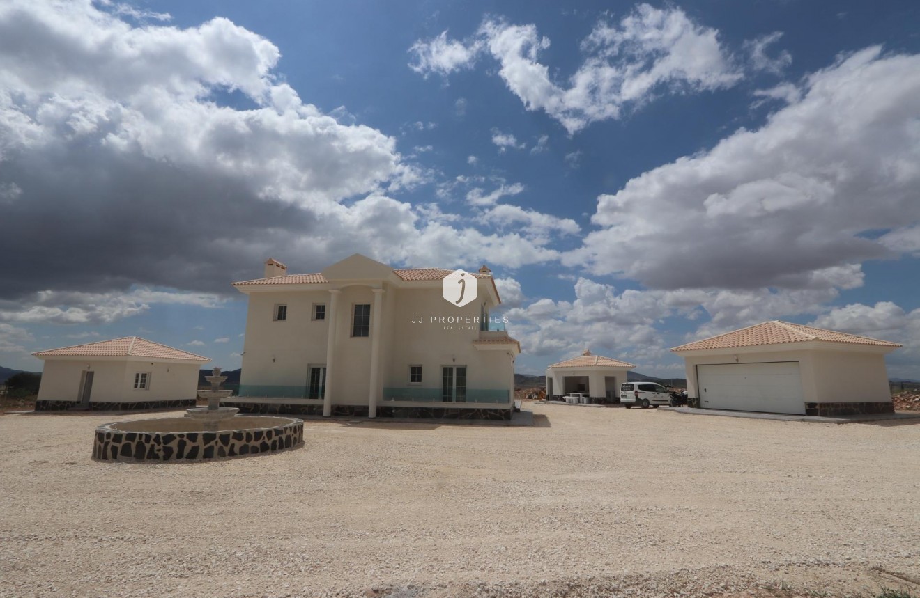 Obra nueva - Villa -
Pinoso - Camino Del Prado