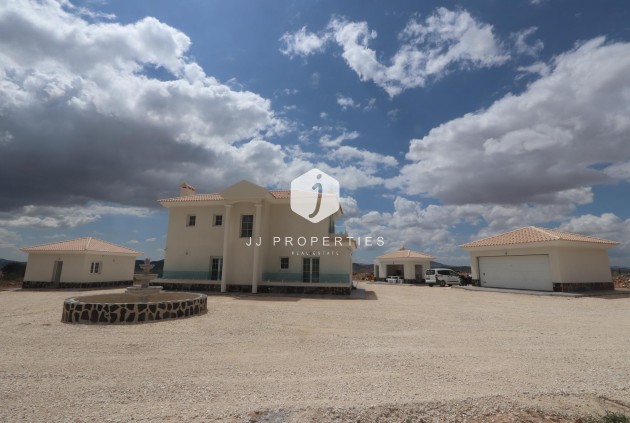 Obra nueva - Villa -
Pinoso - Camino Del Prado