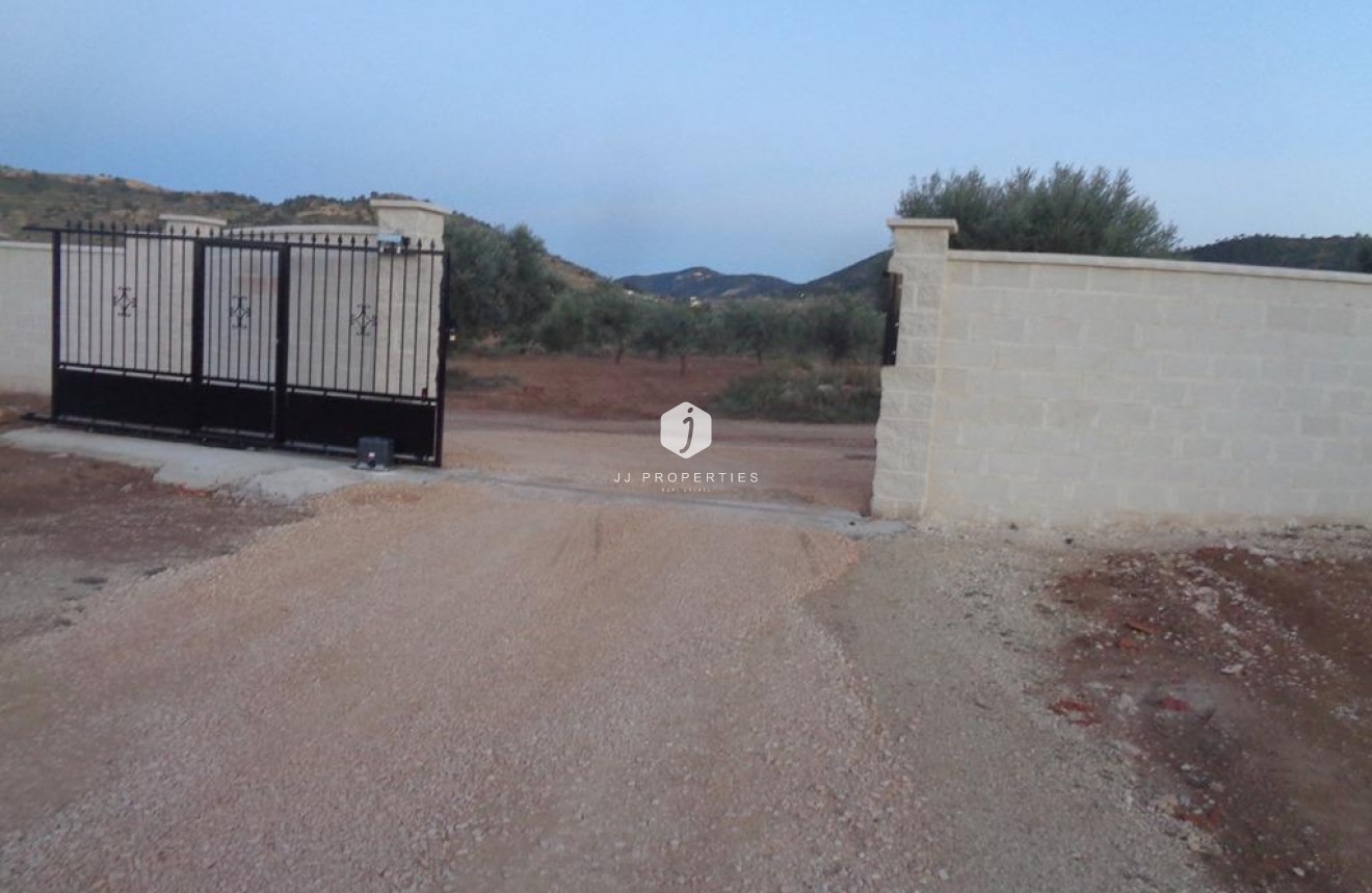 Obra nueva - Villa -
Pinoso - Camino Del Prado