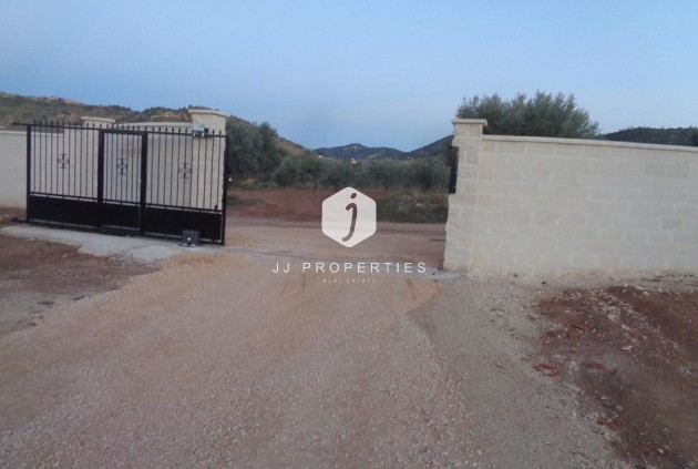 Obra nueva - Villa -
Pinoso - Camino Del Prado