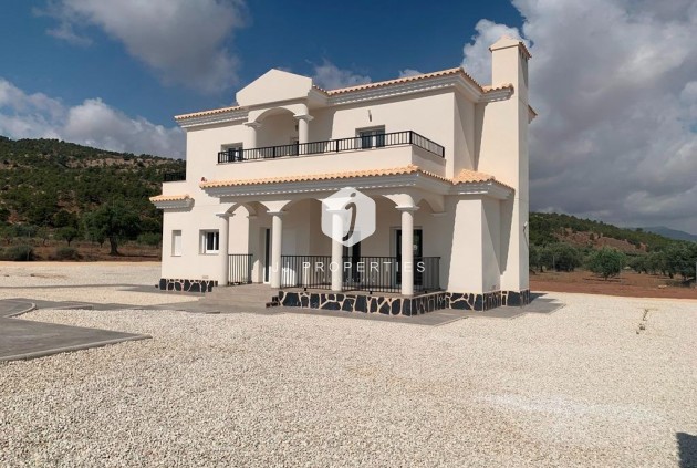 Obra nueva - Villa -
Pinoso - Camino Del Prado