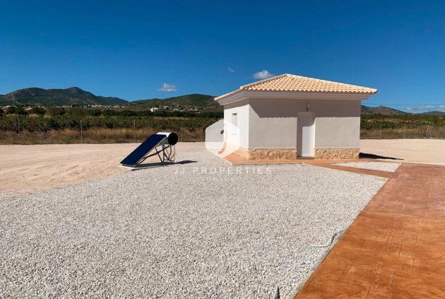 Obra nueva - Villa -
Pinoso - Camino Del Prado