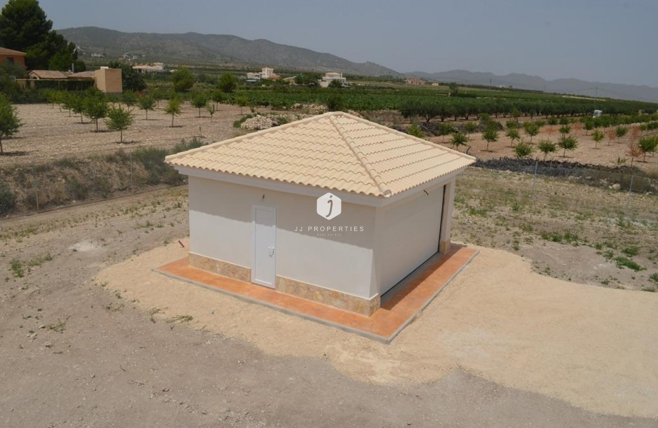 Obra nueva - Villa -
Pinoso - Camino Del Prado